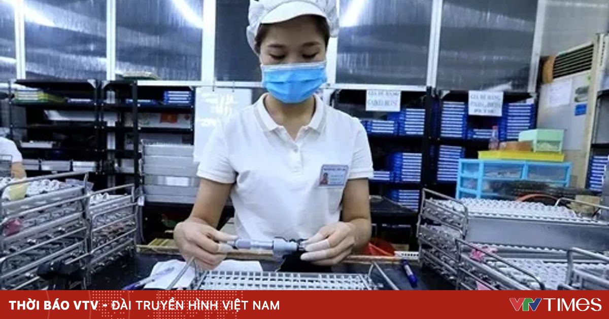 364340 fdi 2808 jpg 85570669715827976161089 27441079988055428863294.webp