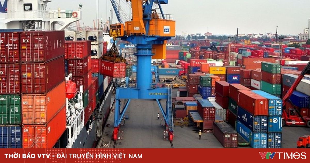 xuat nhap khau vn 1 61633320993221977765611 03941992210970717331065