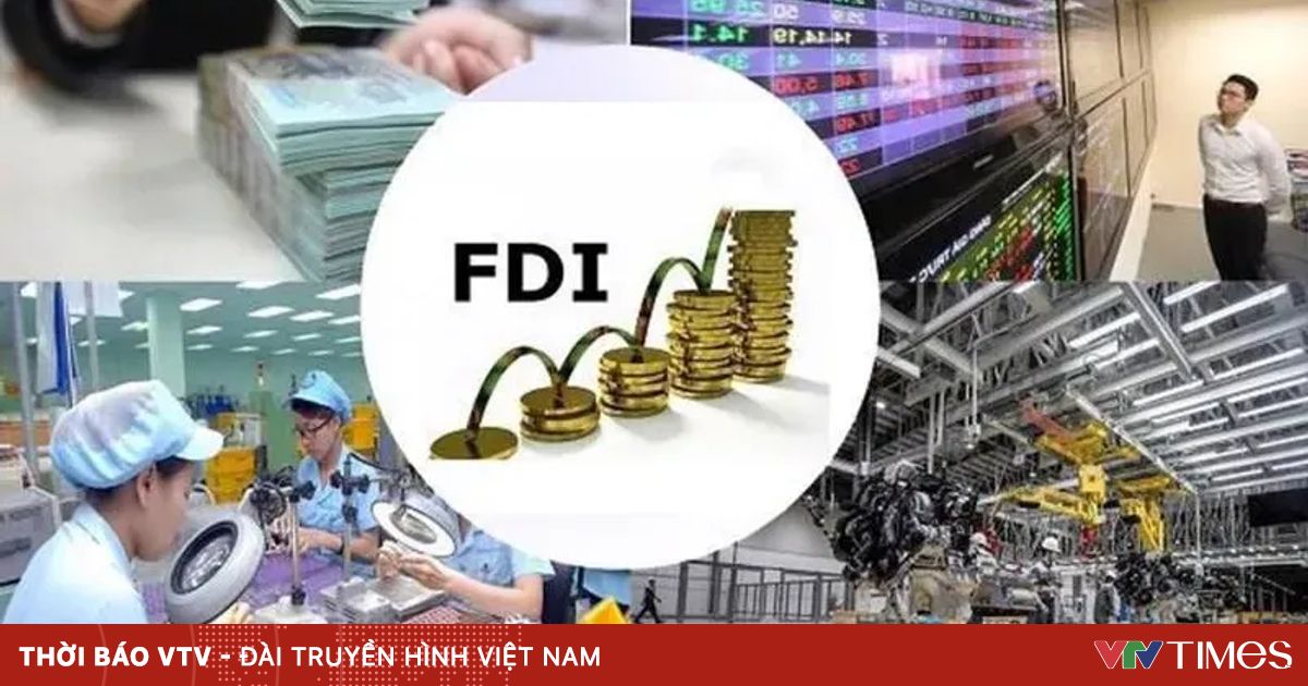 fdi 1587814814 0855 39974956149643776103369 87926286395434568349908 68864537100187913997339